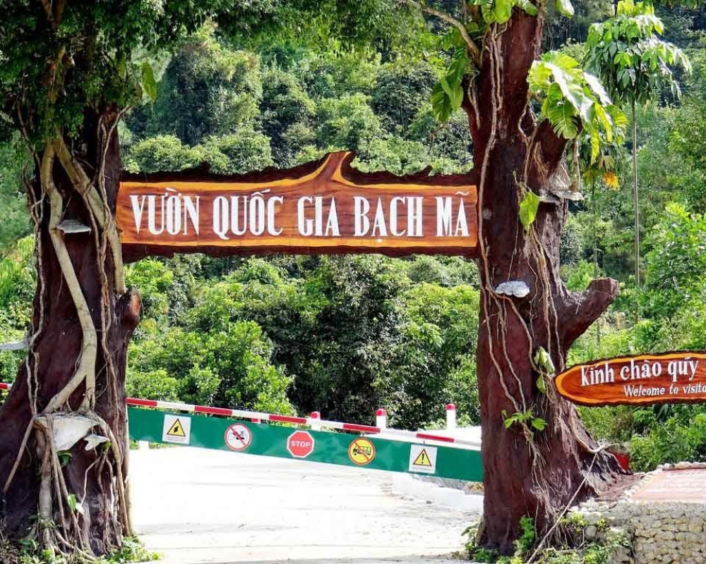 Private car trip from Da Nang toward Bach Ma National Park
